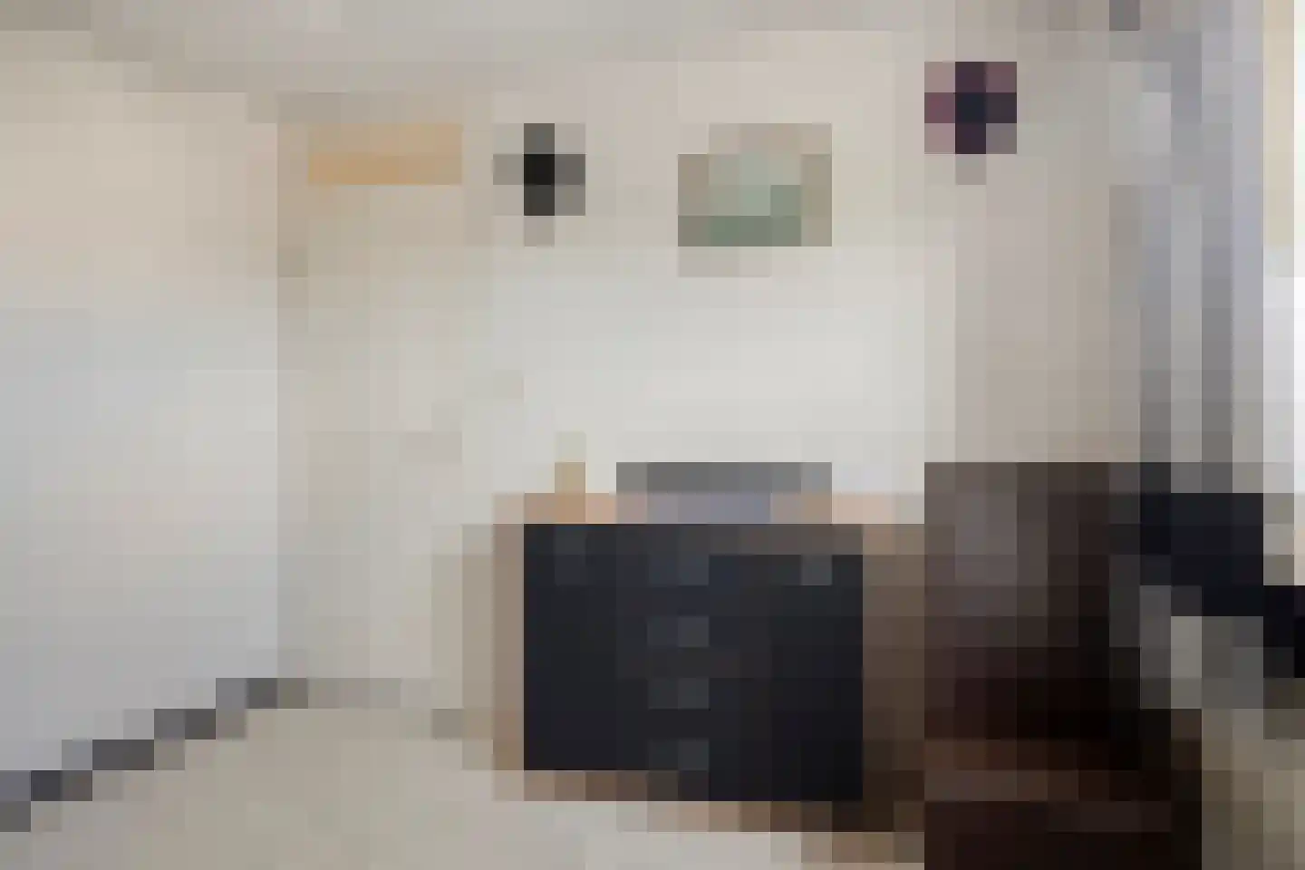de Havik 11 Denekamp thumbnail 15