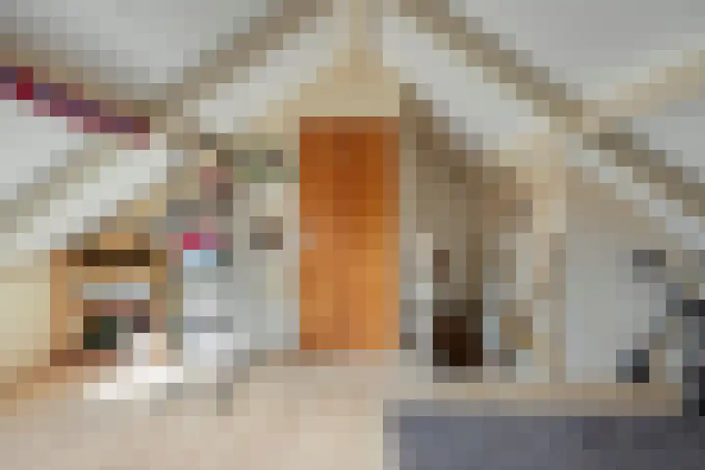 de Havik 11 Denekamp thumbnail 19