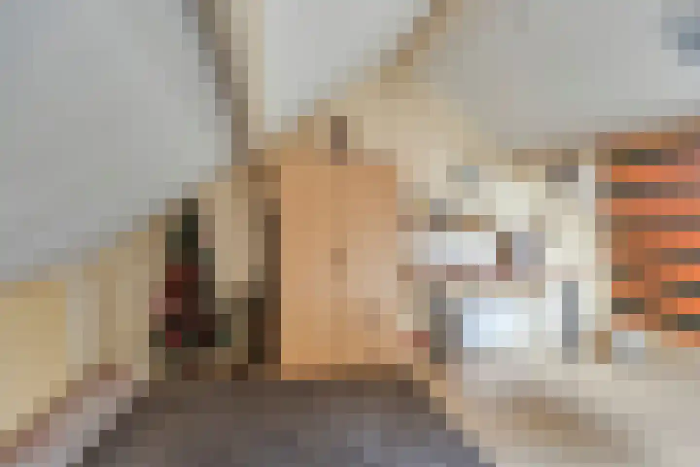 de Havik 11 Denekamp thumbnail 20