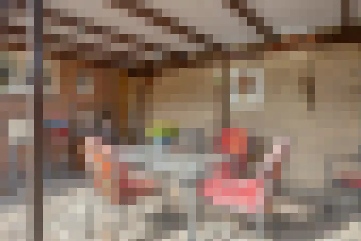 de Havik 11 Denekamp thumbnail 24