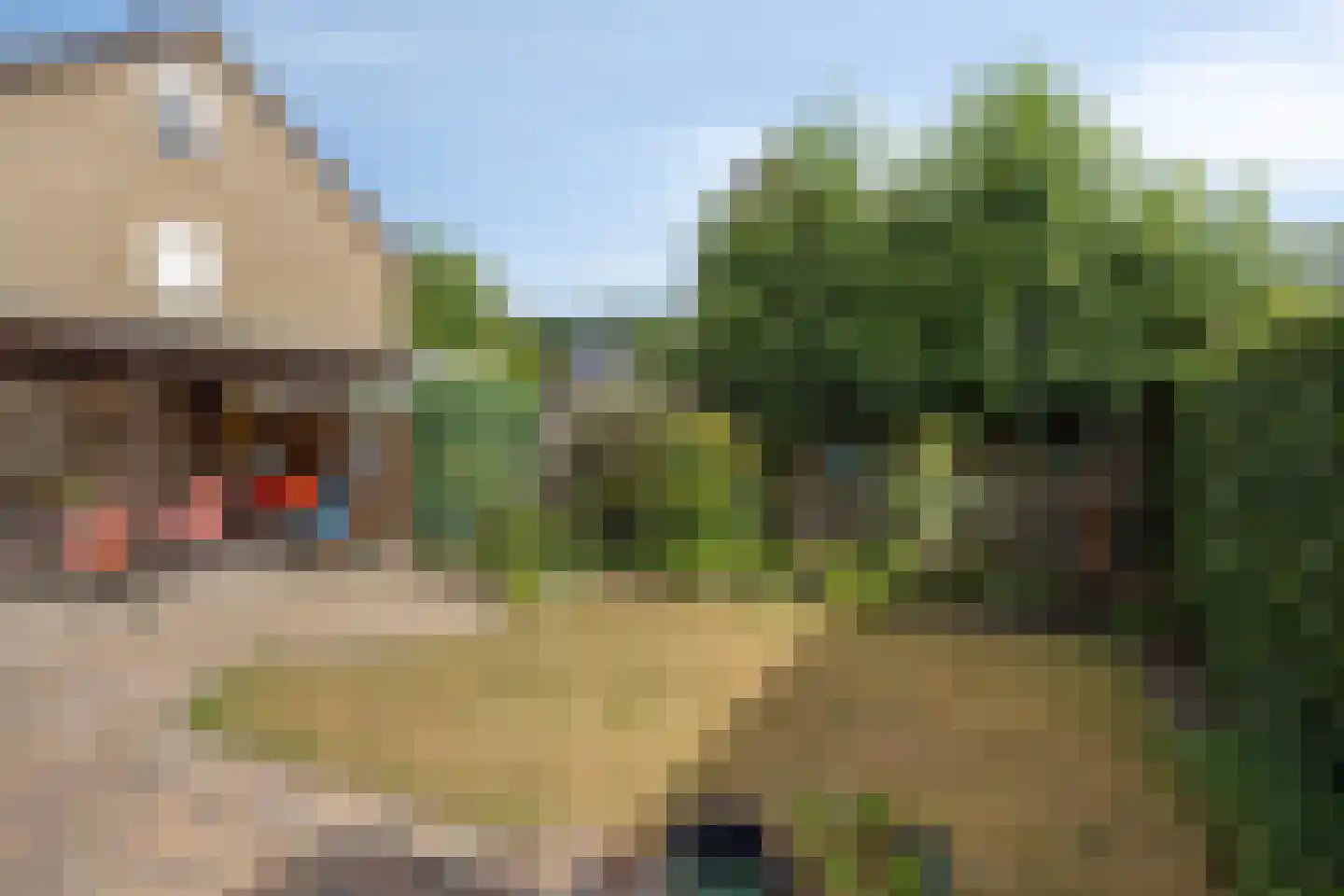 de Havik 11 Denekamp thumbnail 25