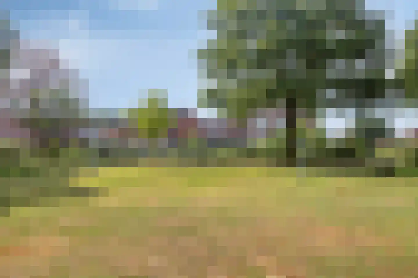 de Havik 11 Denekamp thumbnail 32
