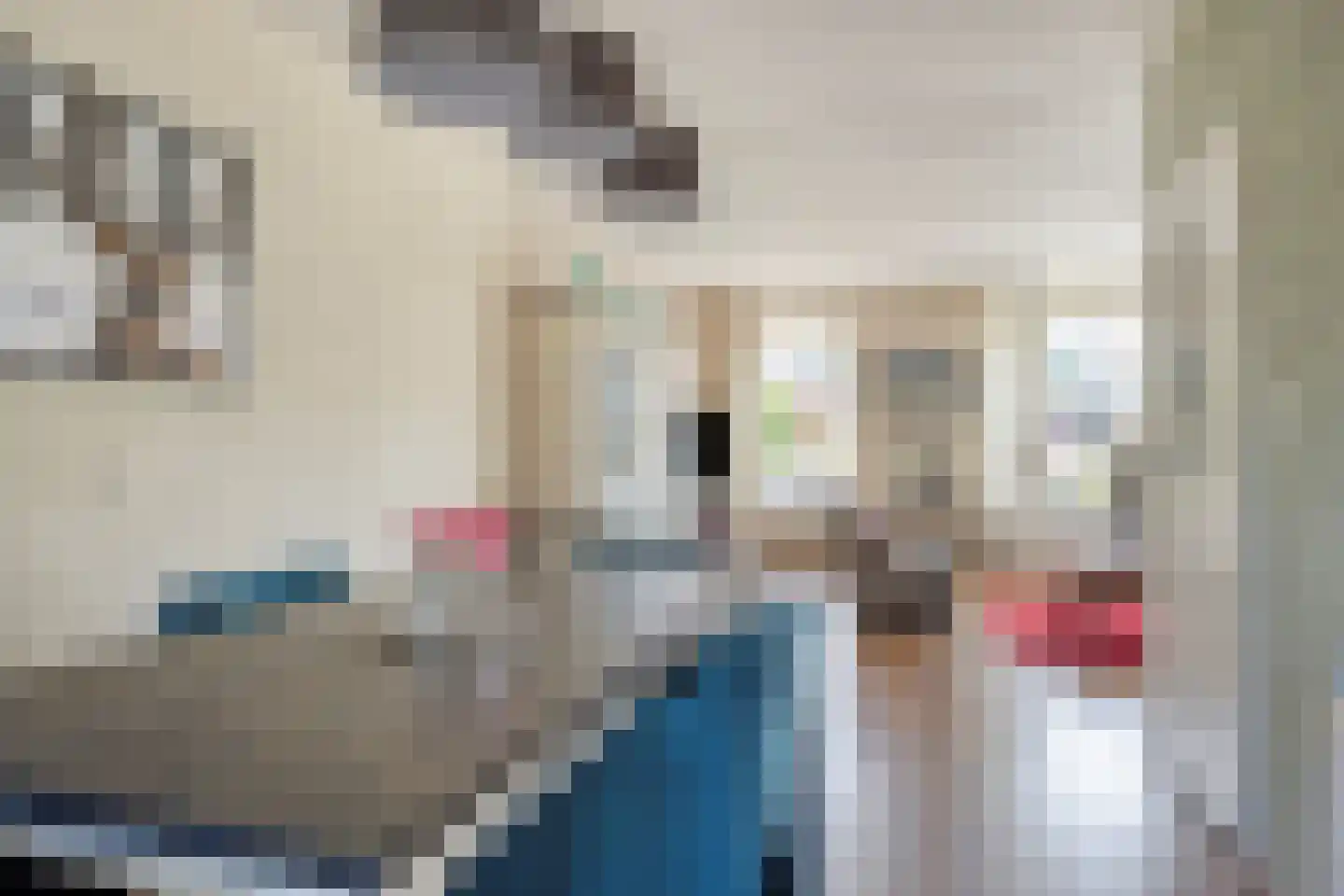 de Havik 11 Denekamp thumbnail 6