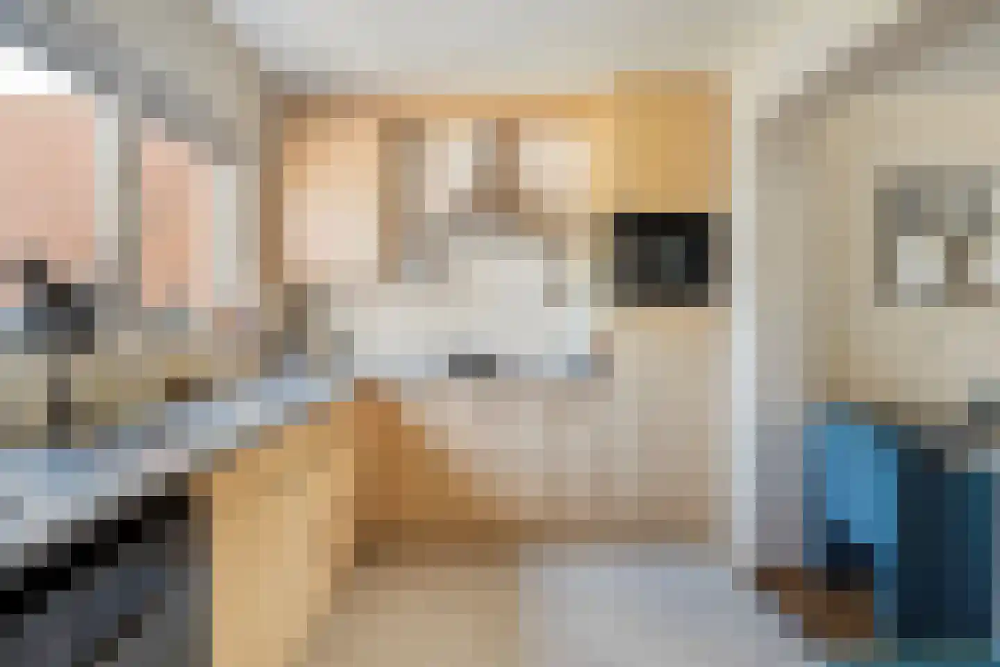 de Havik 11 Denekamp thumbnail 7