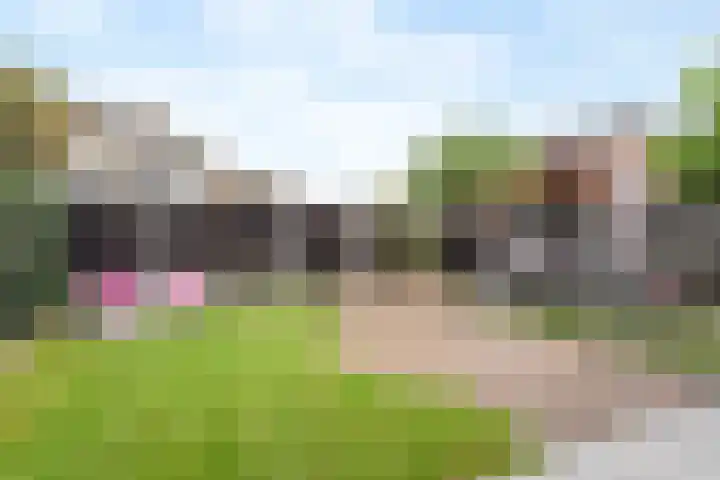 de Havik 13 Denekamp thumbnail 17