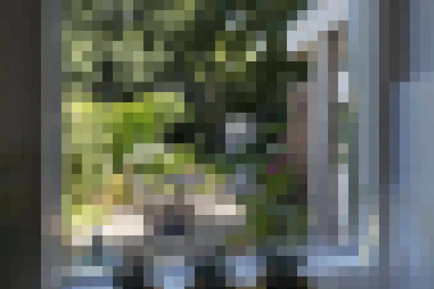 De Havik 17 Almelo thumbnail 11