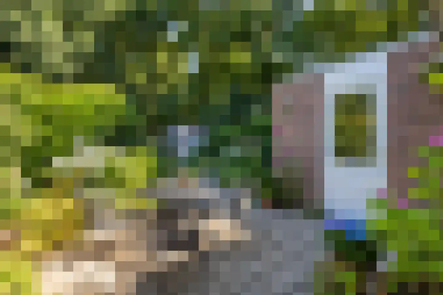 De Havik 17 Almelo thumbnail 26