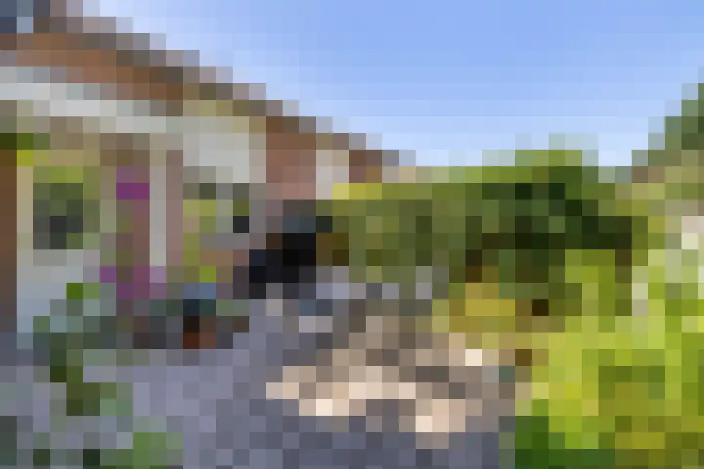 De Havik 17 Almelo thumbnail 27