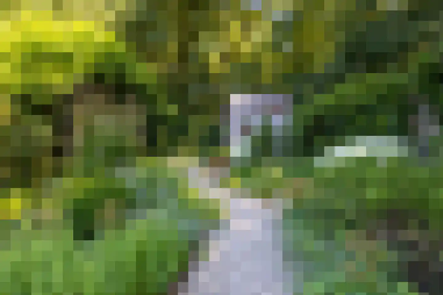 De Havik 17 Almelo thumbnail 28