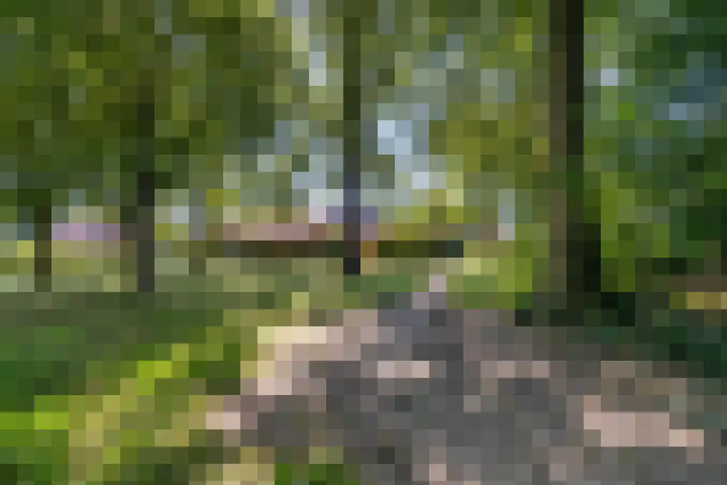 De Havik 17 Almelo thumbnail 33