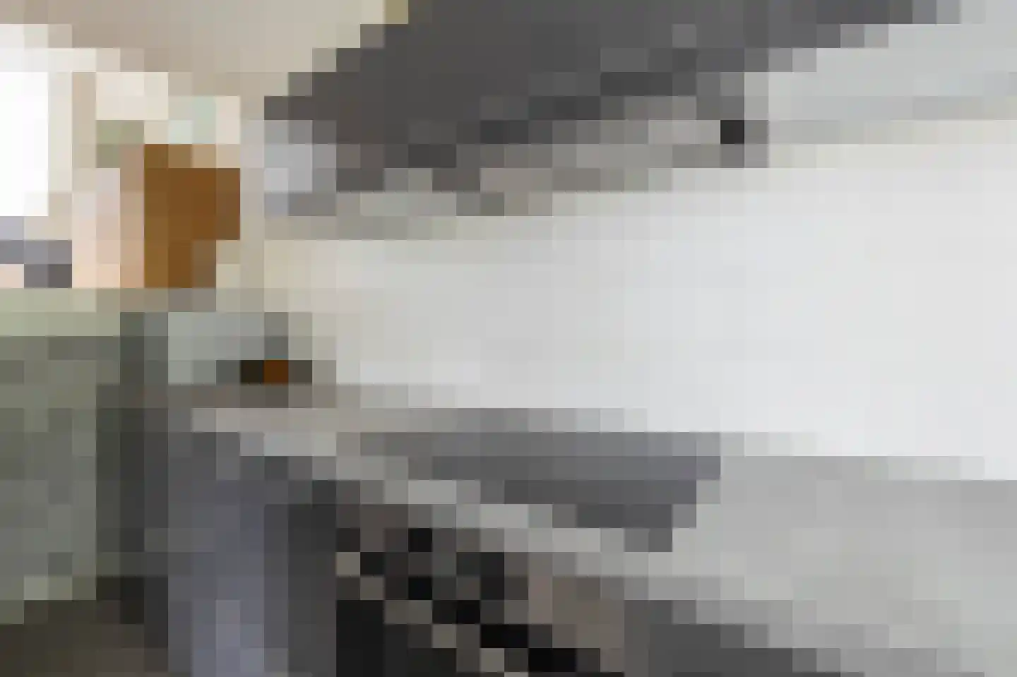 De Havik 17 Almelo thumbnail 8