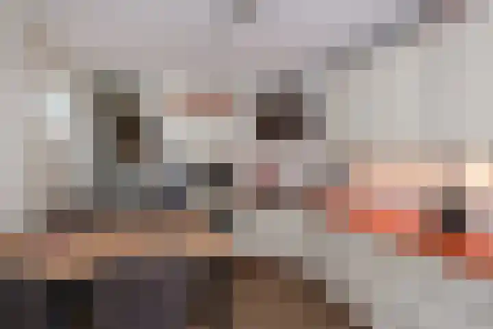 De Havik 31 Almelo thumbnail 13