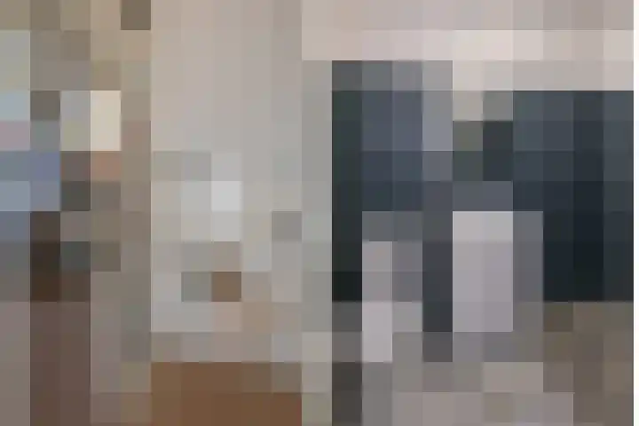 De Havik 31 Almelo thumbnail 18