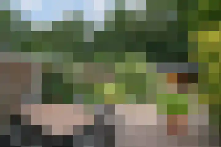 De Havik 31 Almelo thumbnail 23