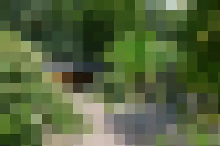 De Havik 31 Almelo thumbnail 24