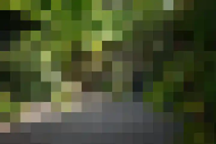 De Havik 31 Almelo thumbnail 25