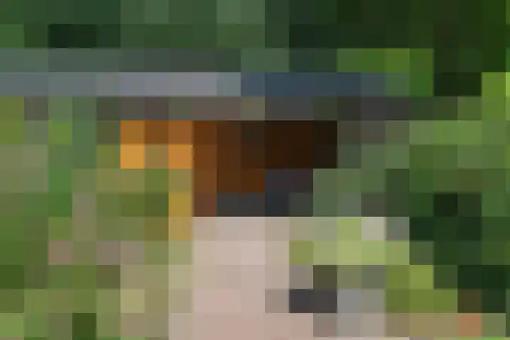 De Havik 31 Almelo thumbnail 26