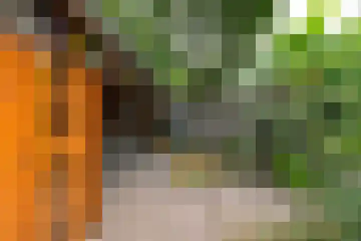 De Havik 31 Almelo thumbnail 27
