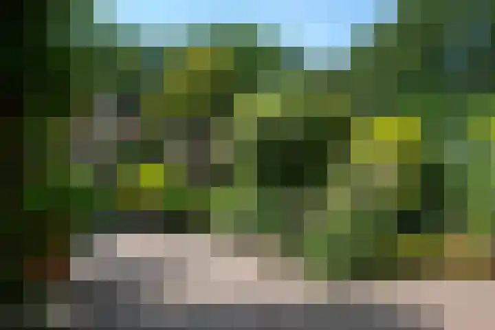De Havik 31 Almelo thumbnail 29