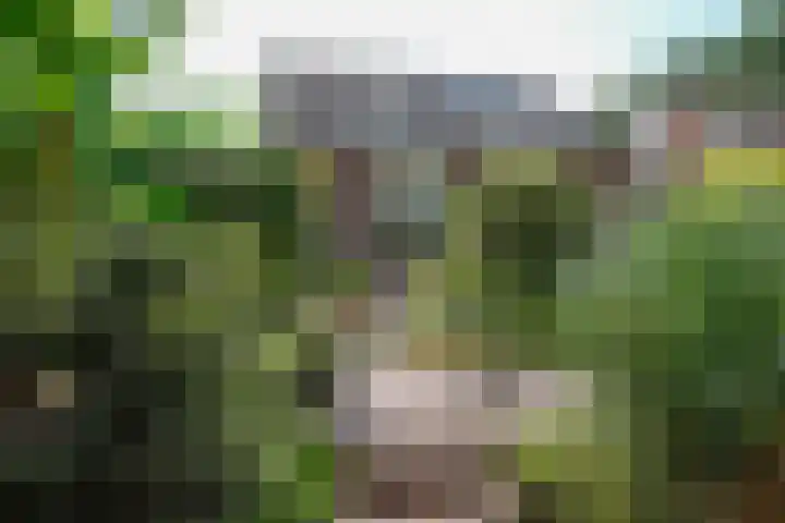 De Havik 31 Almelo thumbnail 30