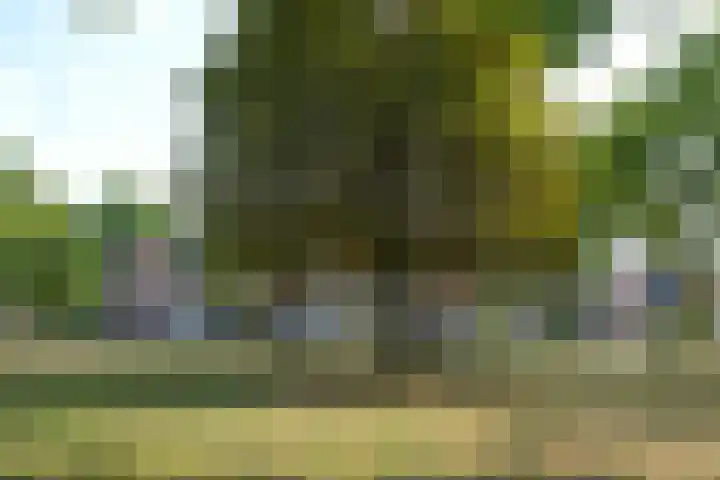 De Havik 31 Almelo thumbnail 33