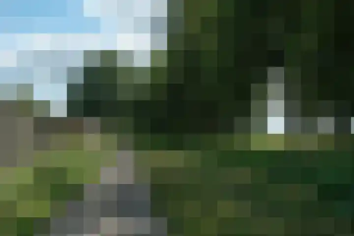 De Havik 31 Almelo thumbnail 35