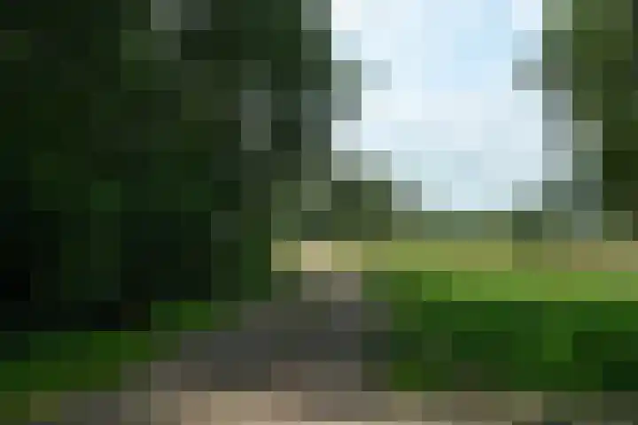 De Havik 31 Almelo thumbnail 36