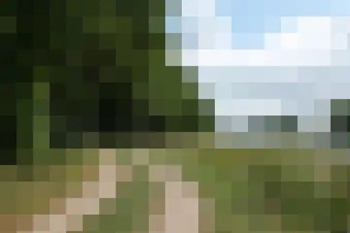 De Havik 31 Almelo thumbnail 37