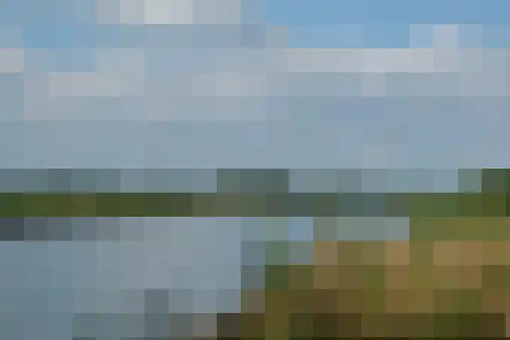 De Havik 31 Almelo thumbnail 38