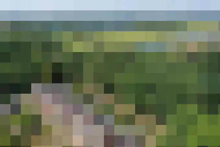 De Havik 31 Almelo thumbnail 39