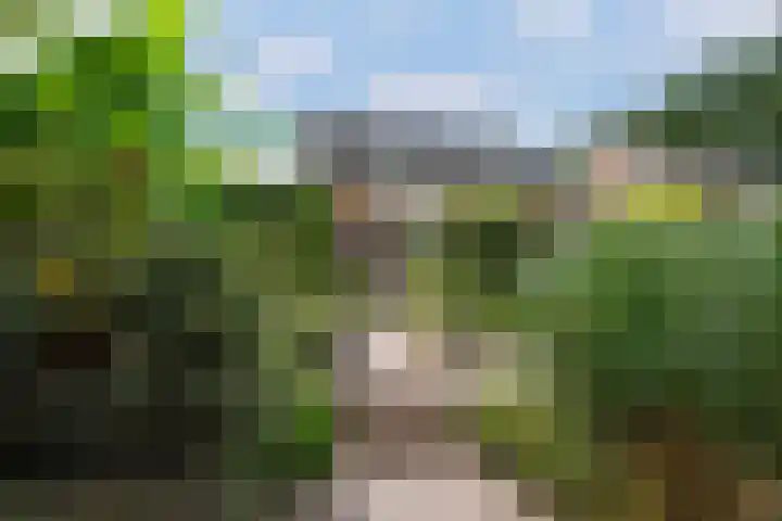 De Havik 31 Almelo thumbnail 4