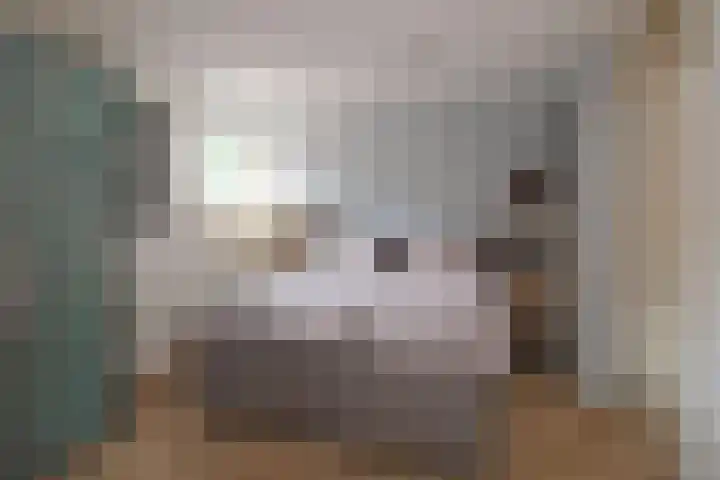 De Havik 31 Almelo thumbnail 6