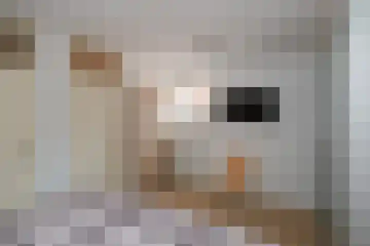De Havik 31 Almelo thumbnail 8