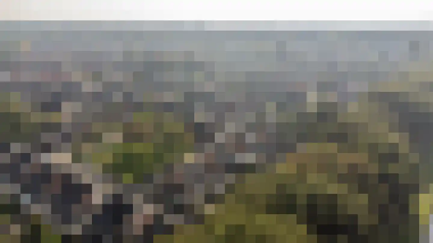 De Havik 43 Almelo thumbnail 37