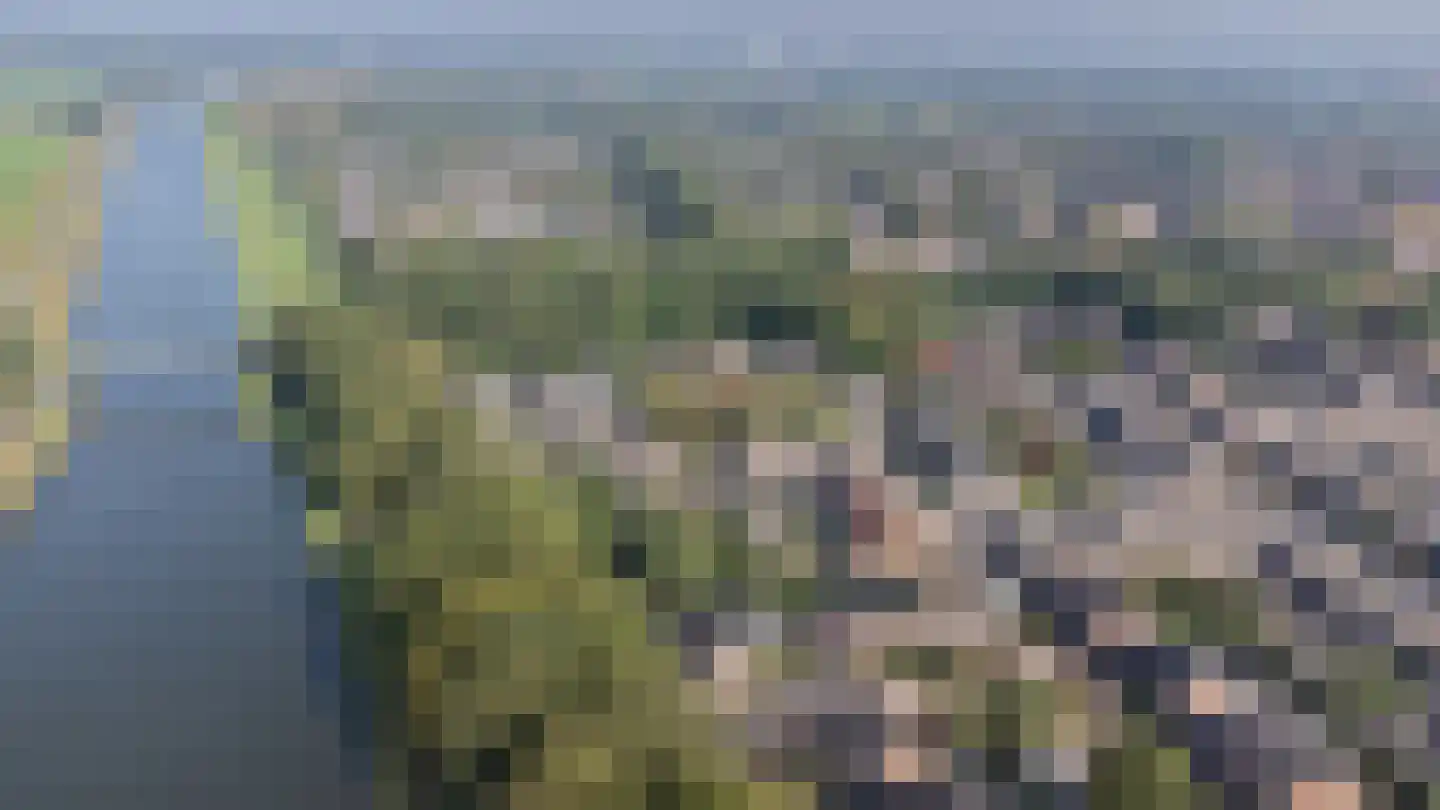 De Havik 43 Almelo thumbnail 38