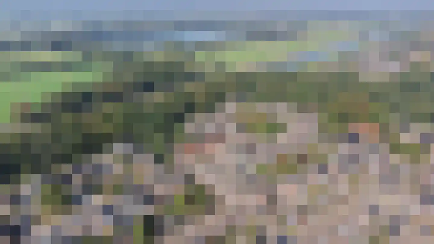 De Havik 43 Almelo thumbnail 39