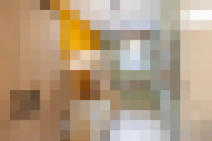 De Havik 47 Almelo thumbnail 20