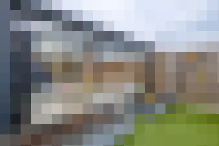 De Havik 47 Almelo thumbnail 27