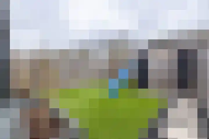 De Havik 47 Almelo thumbnail 28