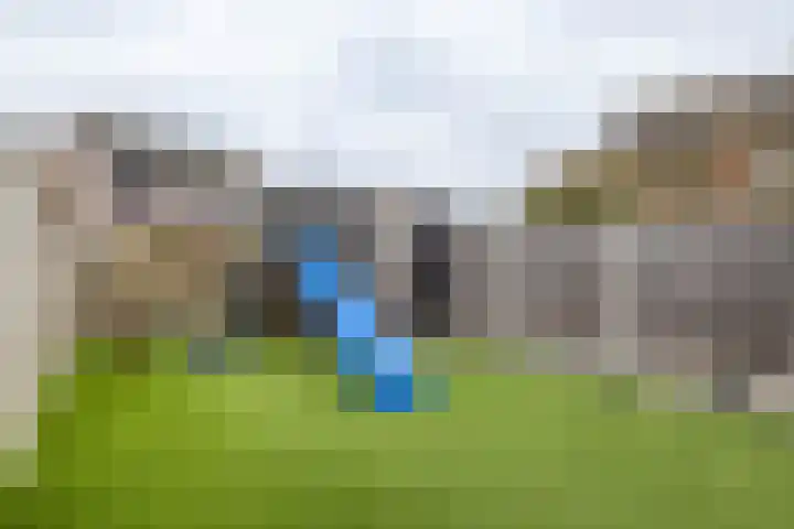 De Havik 47 Almelo thumbnail 29