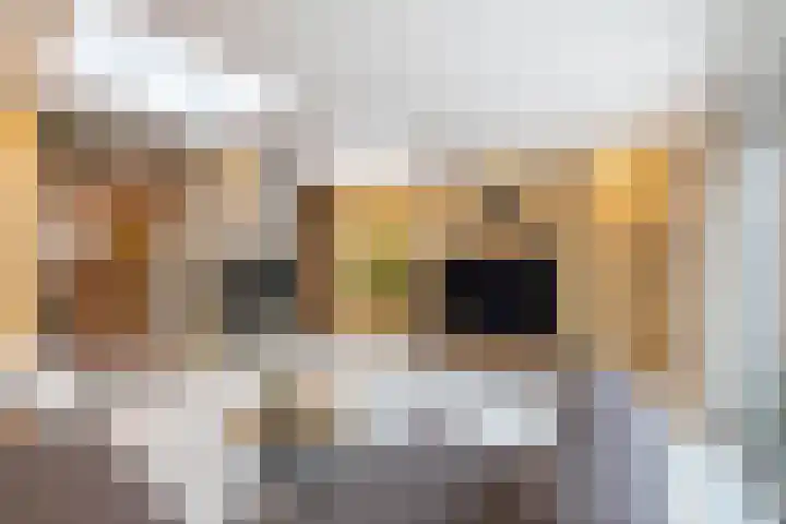 De Havik 47 Almelo thumbnail 7
