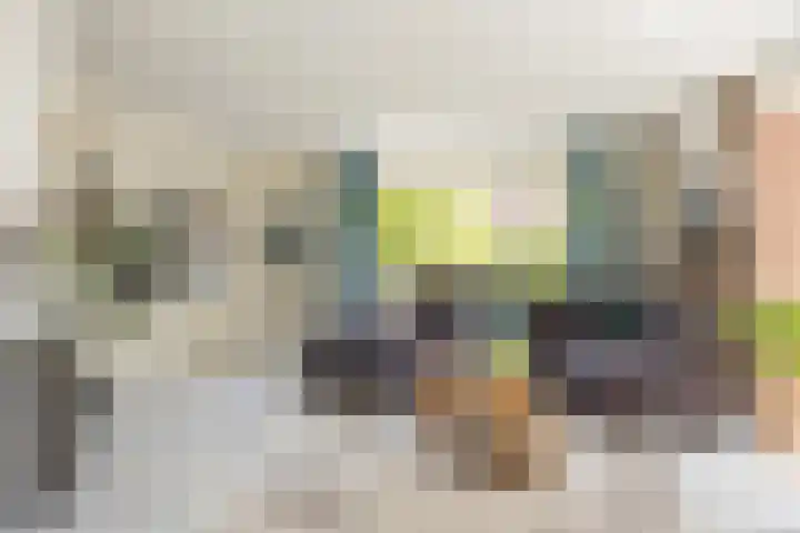 de Havik 48 Denekamp thumbnail 14