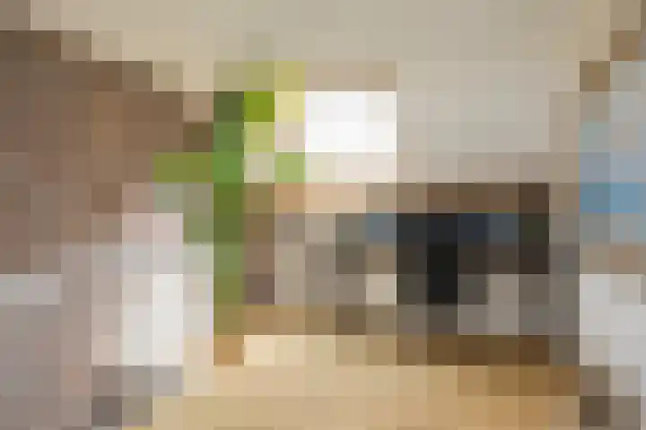 de Havik 48 Denekamp thumbnail 31