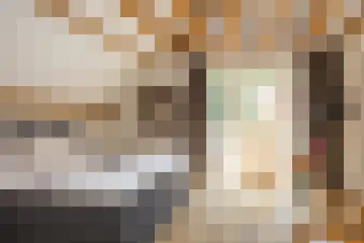 de Havik 48 Denekamp thumbnail 32