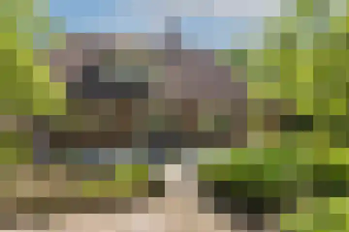 de Havik 48 Denekamp thumbnail 45
