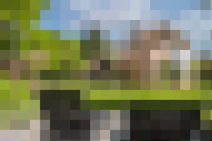 de Havik 48 Denekamp thumbnail 47
