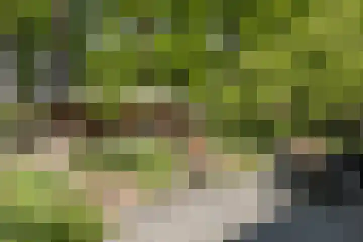 de Havik 48 Denekamp thumbnail 49