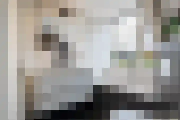 De Havik 5 Almelo thumbnail 16