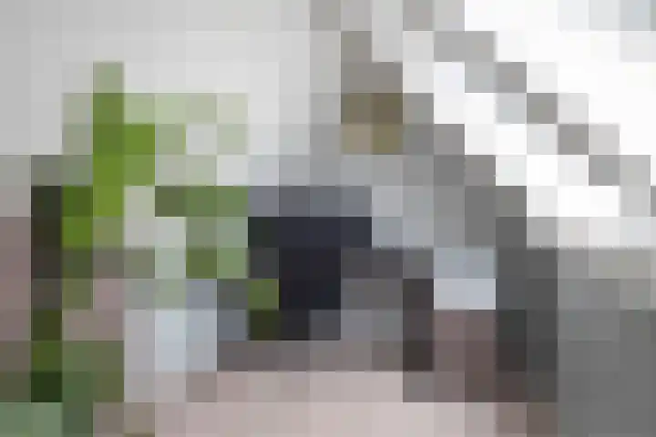 De Havik 5 Almelo thumbnail 24