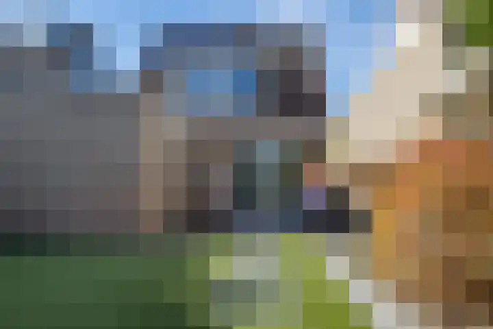 De Havik 5 Almelo thumbnail 26